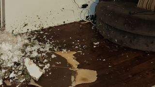 TAFY apartment damage.png