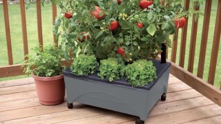 Home Depot has raised garden beds with wheels for just $25