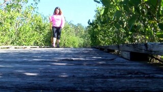 Free 'Hiking Spree' promotes health and wellness