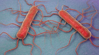 3d,Illustration,Of,Bacterium,Listeria,Monocytogenes,,Gram-positive,Bacterium,With,Flagella