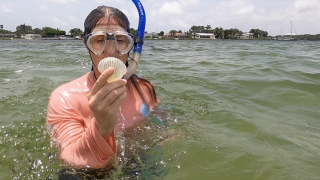 Tampa Bay Watch Mermaid Cove