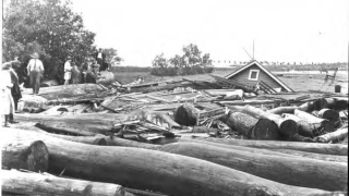 View of Palmetto Beach after hurricane.png