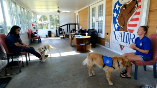 Veterans can get service animals at no cost thanks to Valor Service Dogs WFTS.png