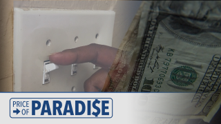 Price of Paradise electricity