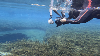 Jason Gulley, National Geographic photographer snorkeling in Jug Hole.